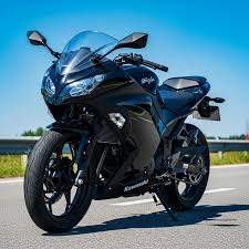 Kawasaki Ninja 300 2025